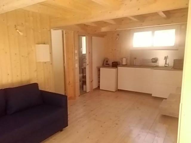 Studio Dans Les Pins Lacanau Leilighet Eksteriør bilde